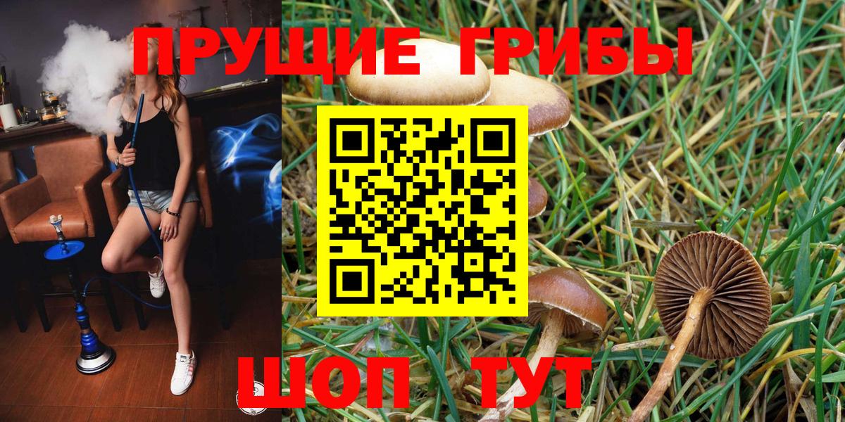 Галлюциногенные грибы GOLDEN TEACHER  Вход с VPN  Кыштым 